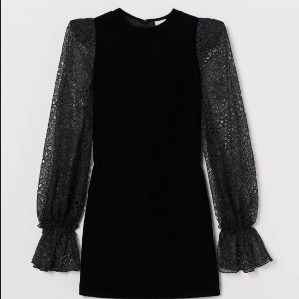 The Vampire’s Wife Neo Goth Lace Sleeve & Velvet Dress